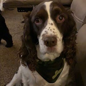 Meet your Posher, Jason